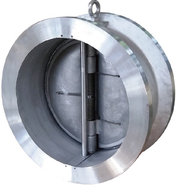 Dual Plate Check Valves